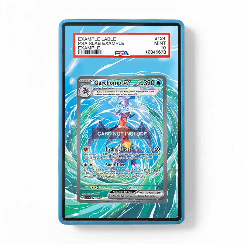 Garchomp ex 245-182 SIR SAR Paradox Rift Extended Art Pokemon Card Display Case