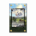 Arceus V SWSH 204 Promo Extended Art Display Cases - Screws Case - Front View