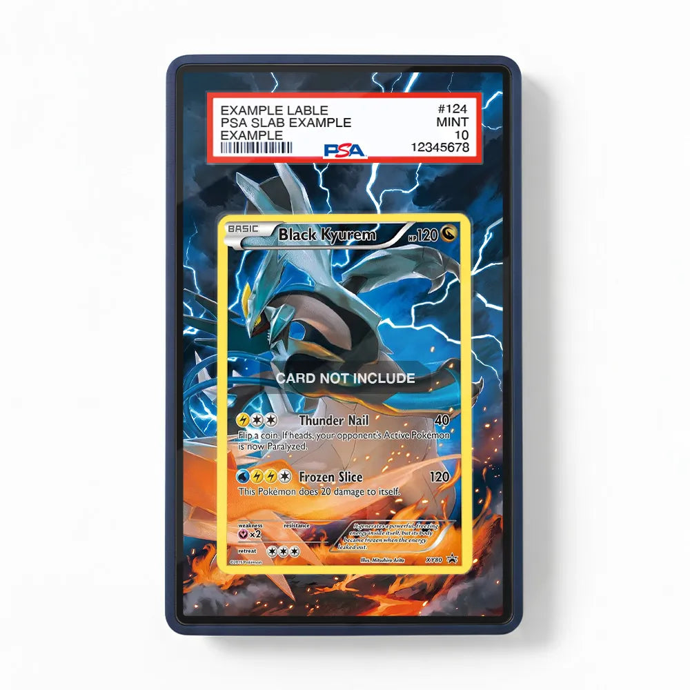 Black Kyurem XY80 Promo XY Series Extended Art Display Cases - PSA Slab Case - Front View