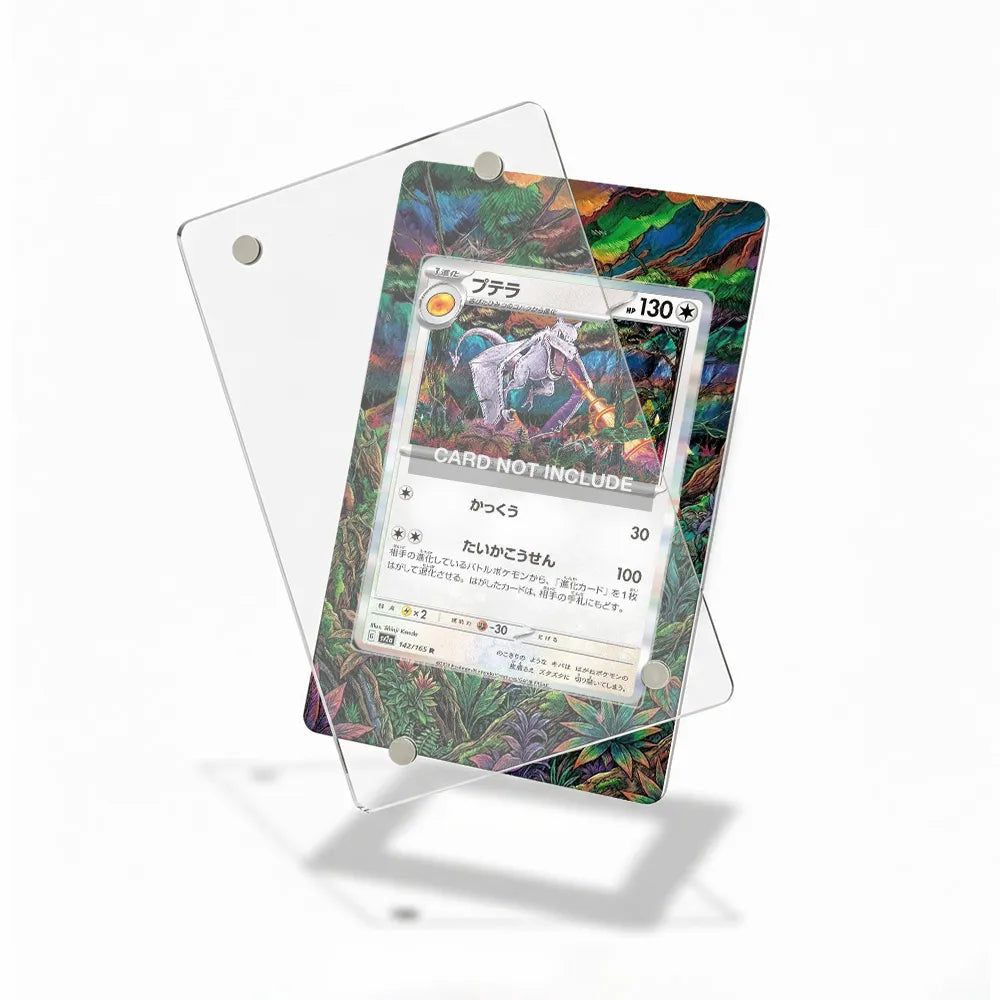 Charizard 142-165 SWSH Black Star Promos Extended Art Display Cases - Magnetic Case - Detail View
