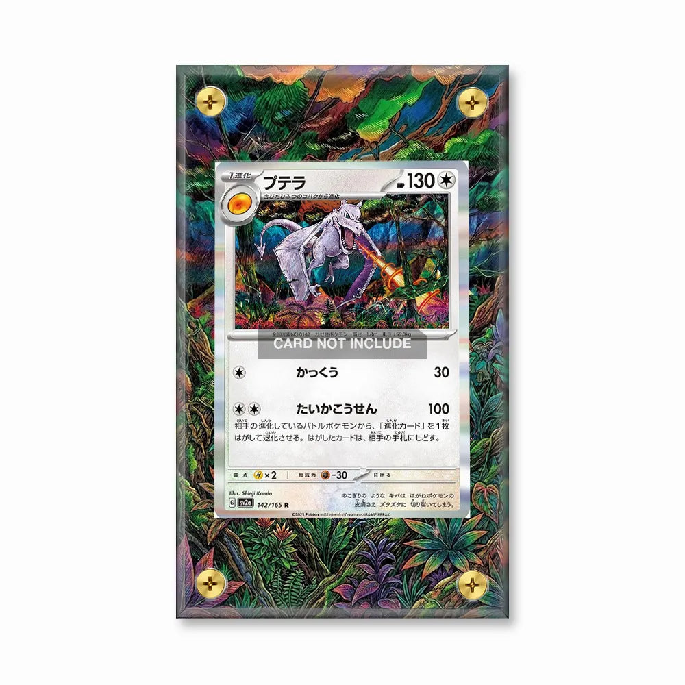 Charizard 142-165 SWSH Black Star Promos Extended Art Display Cases - Screws Case - Front View