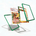 Charizard EX 11-106 Flashfire Extended Art Display Cases - PSA Slab Case - Detail View