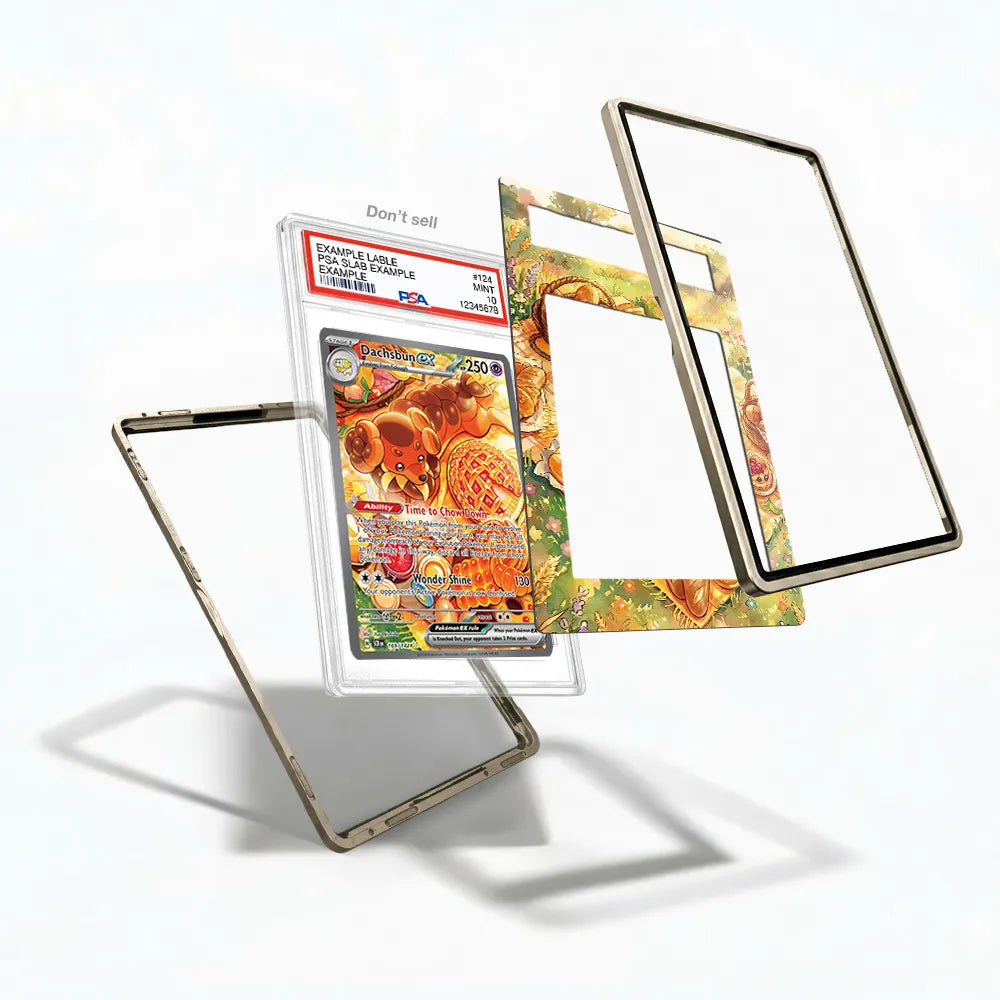 Dachsbun ex 169-142 SIR SAR Stellar Crown Extended Art Display Cases - PSA Slab Case - Detail View