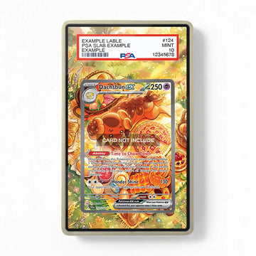 Dachsbun ex 169-142 SIR SAR Stellar Crown Extended Art Display Cases - PSA Graded Guard Case - Front View