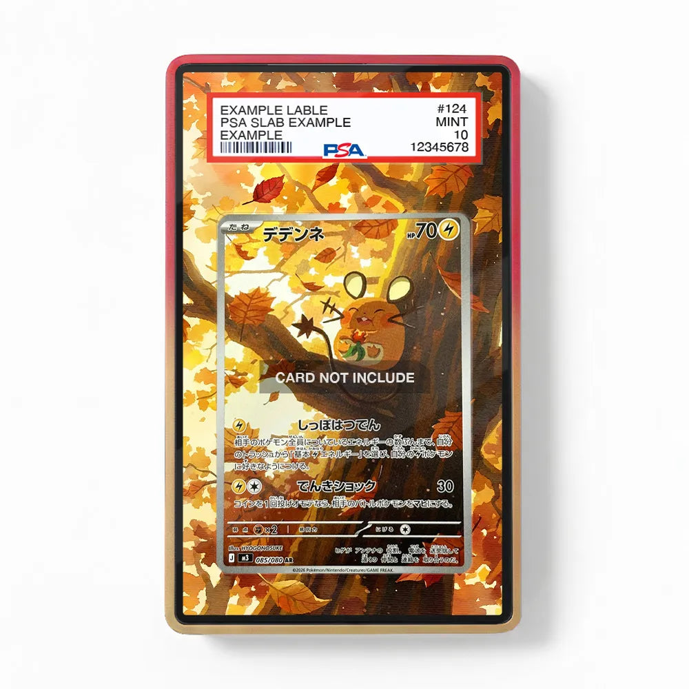 Dedenne AR IR Nihil Zero Perfect Order Extended Art Display Cases - PSA Slab Case - Front View