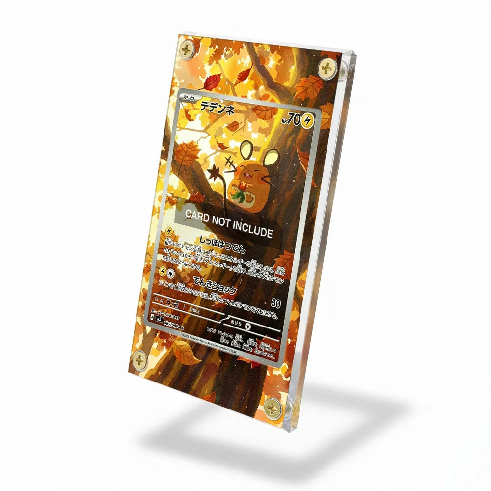 Dedenne AR IR Nihil Zero Perfect Order Extended Art Display Cases - Screws Case - Side View