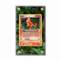 Ditto 61-113 EX Deoxys Extended Art Display Cases - Screws Case - Front View