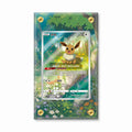 Eevee 0115-15 Gem Pack 2 Chinese Exclusive Extended Art Display Cases - Screws Case - Front View