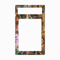 Entei & Raikou LEGEND 064-080 Reviving Legends Pokemon Cards Custom Art Display Cases - PSA Metal Art Only - Front View