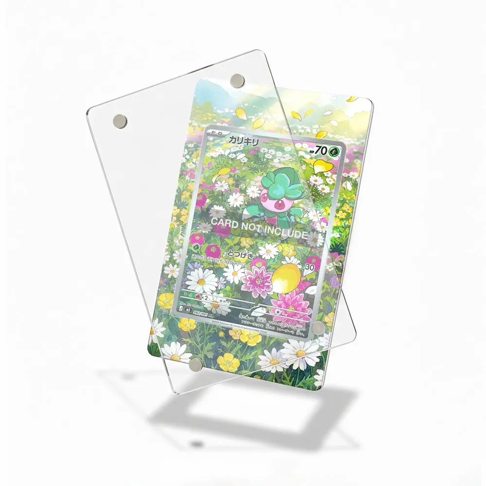 Fomantis 082-081 AR M5 Extended Art Display Cases - Magnetic Case - Detail View