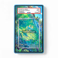 Froakie IR AR Ninja Spinner Chaos Rising Extended Art Display Cases - PSA Slab Case - Front View
