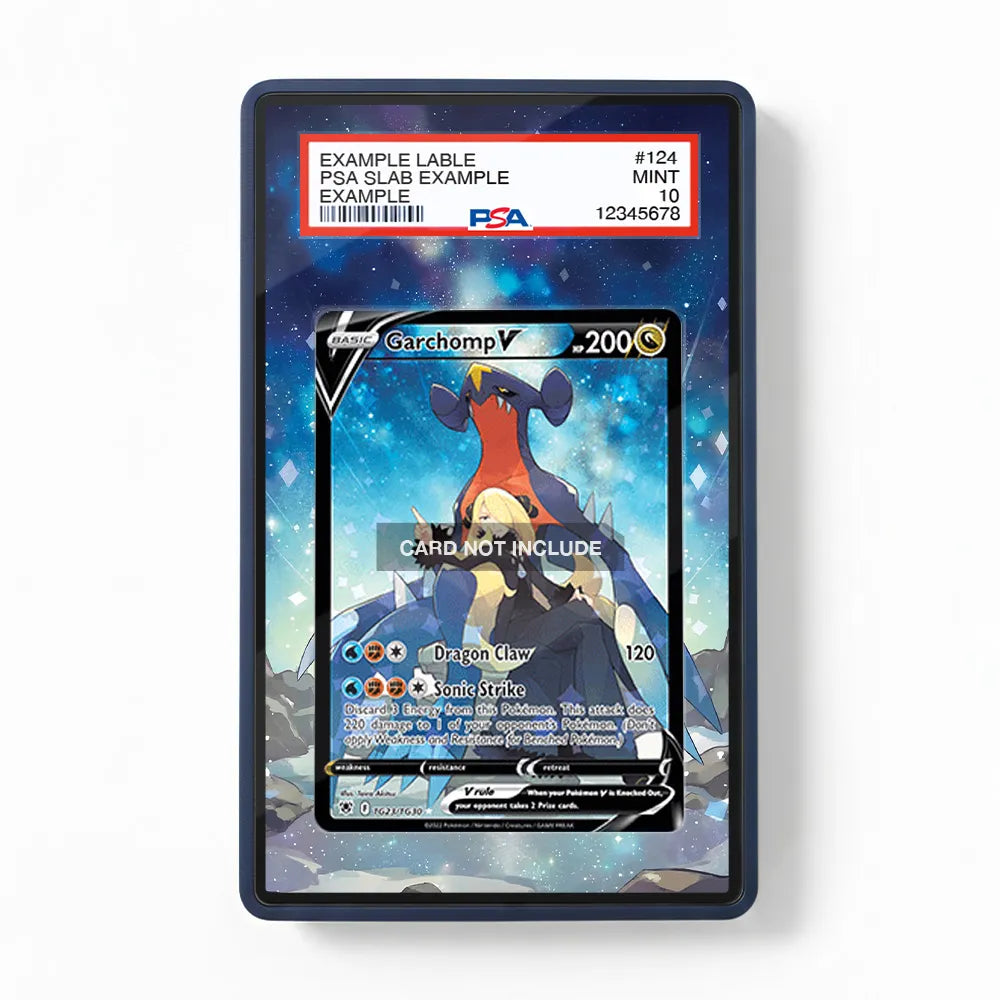 Garchomp V TG23 Trainer Gallery Astral Radiance Extended Art Display Cases - PSA Slab Case - Front View