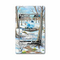 Glaceon V SIR SAR Evolving Skies Alternate Art Extended Art Display Cases - Magnetic Case - Front View