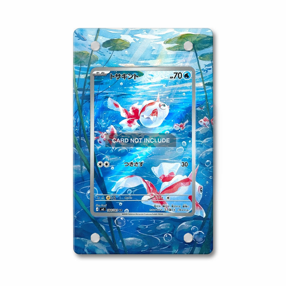 Goldeen 084-081 AR M5 Extended Art Display Cases