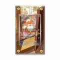 Growlithe 078-076 AR Storm Emeralda Delta Reign Extended Art Display Cases - Screws Case - Front View