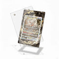 Hisuian Zoroark VSTAR GG56 SIR SAR Crown Zenith Extended Art Display Cases - Magnetic Case - Detail View