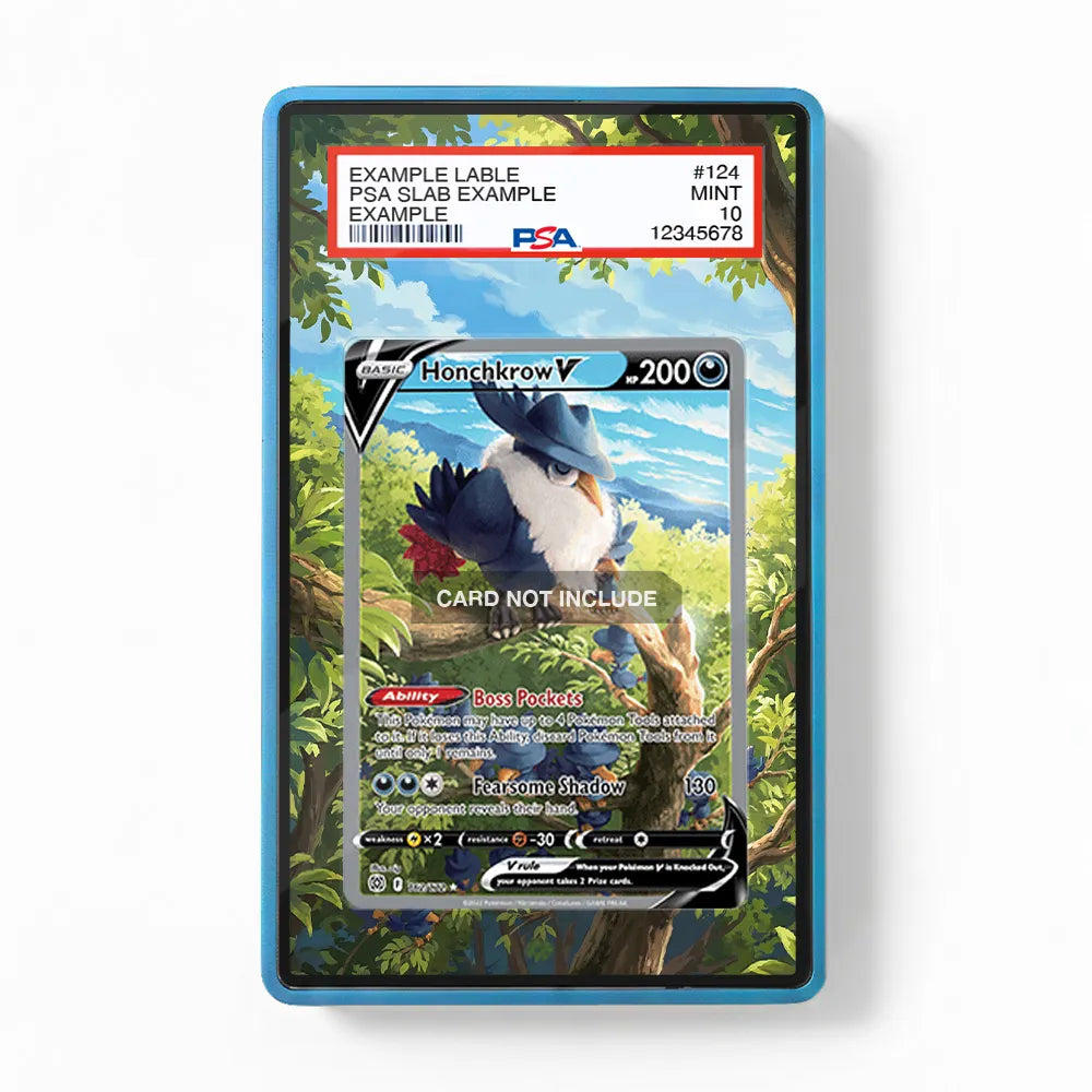 Honchkrow V 162-172 SIR SAR Brilliant Stars Alternate Art Extended Art Display Cases - PSA Slab Case - Front View