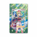 Irida 186-189 Ultra Rare Astral Radiance Extended Art Display Cases - Magnetic Case - Front View