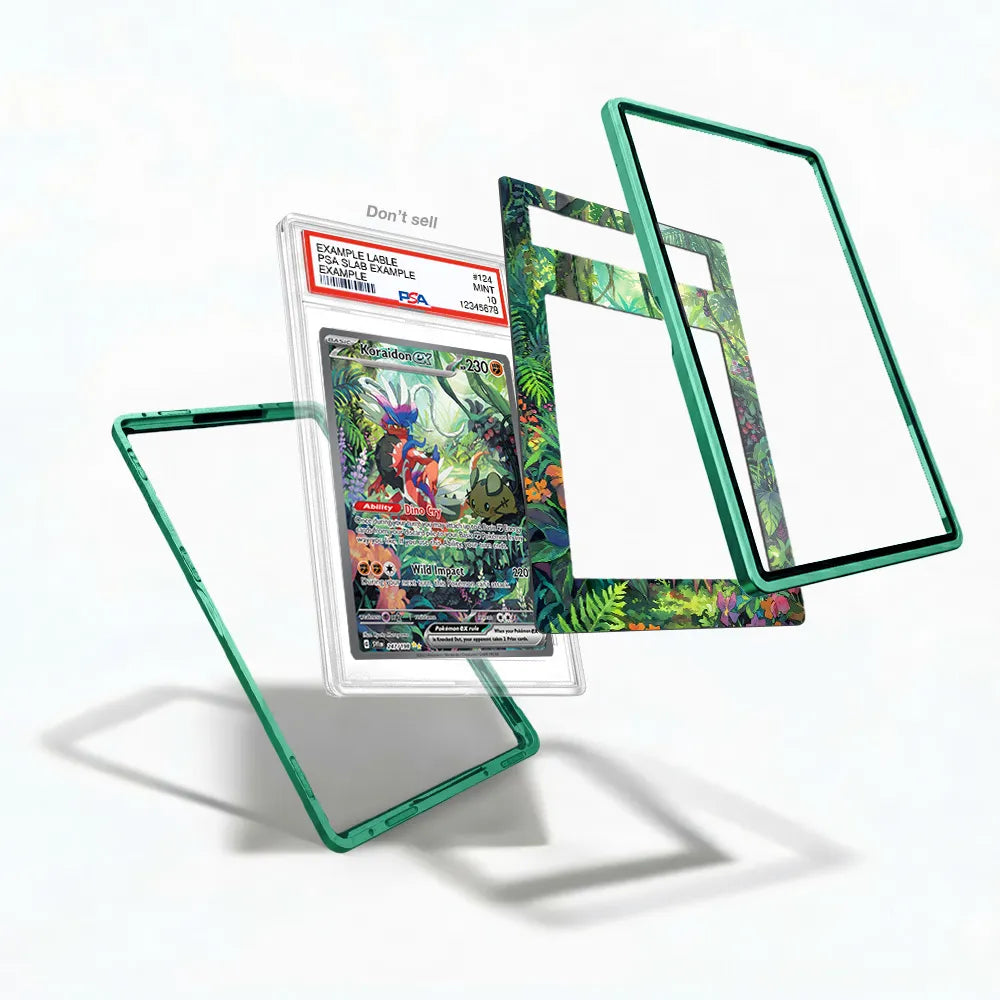 Koraidon ex 247-198 SIR SAR Scarlet & Violet Base Set Extended Art Display Cases - PSA Slab Case - Detail View