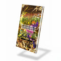 Lilith SP OP07-111 Carrying on His Will OP13 Extended Art Display Cases - Screws Case - Side View