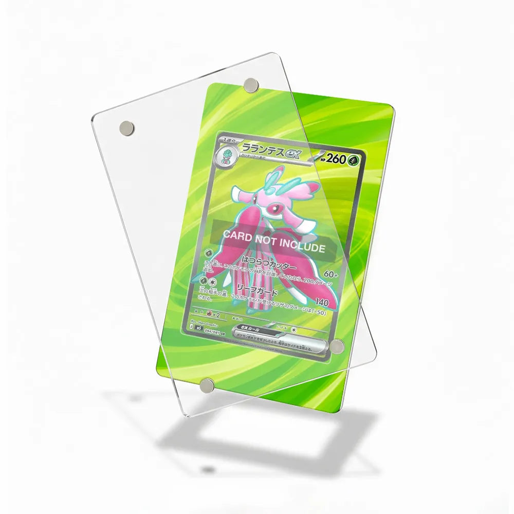 Lurantis ex 094-081 SR M5 Extended Art Display Cases - Magnetic Case - Detail View