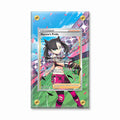 Marnie's Pride 171-172 Ultra Rare Brilliant Stars Extended Art Display Cases - Screws Case - Front View