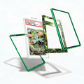 Masquerain 077-076 AR Storm Emeralda Delta Reign Extended Art Display Cases - PSA Slab Case - Detail View