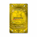 Mega Dragonite ex 295-217 Hyper Rare MUR Ascended Heroes Extended Art Display Cases - Magnetic Case - Front View