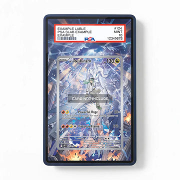 N's Reshiram 167159 IR AR Journey Together Extended Art Display Cases - PSA Graded Guard Case - Front View