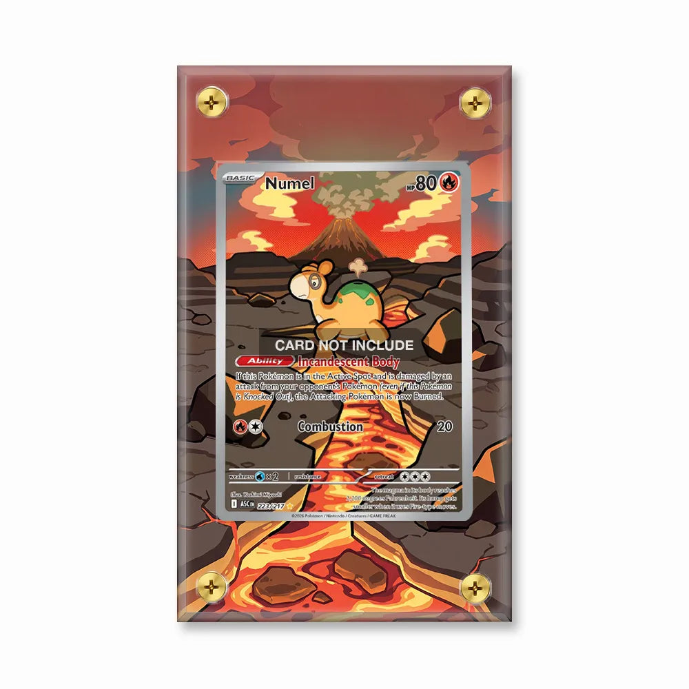 Numel 223-217 Ascended Heroes Pokemon Cards Extended Art Display Cases - Screws Case - Front View
