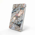 Origin Forme Palkia V 167-189 SIR SAR Astral Radiance Alternate Art Extended Art Display Cases - Magnetic Case - Side View