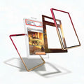 Penny 252-198 SIR SAR Scarlet & Violet Base Set Extended Art Display Cases - PSA Slab Case - Detail View