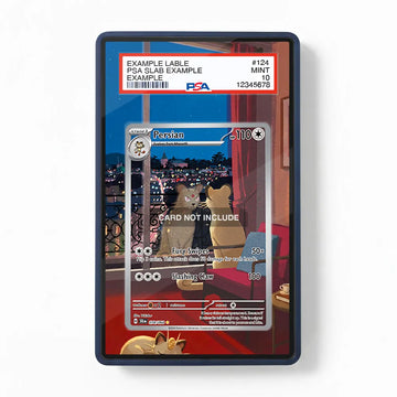 Persian 078-064 IR AR Shrouded Fable Extended Art Display Cases - PSA Graded Guard Case - Front View