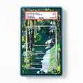 Psyduck 175-165 IR AR Pokemon 151 Extended Art Display Cases - PSA Slab Case - Front View