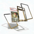 Raikou ex 108-076 SAR M6 Delta Reign Extended Art Display Cases - PSA Slab Case - Detail View