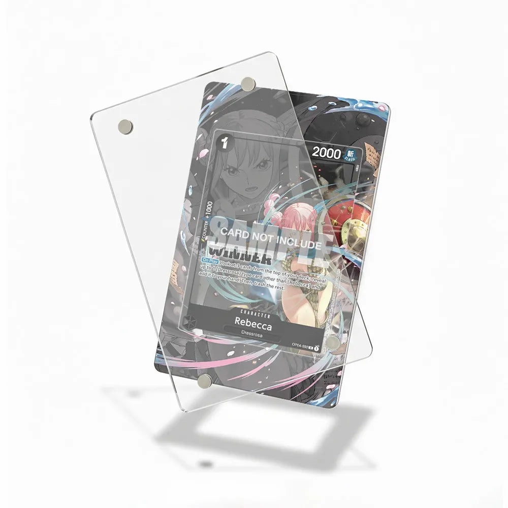 Rebecca OP04-092 Dressrosa Extended Art Display Cases - Magnetic Case - Detail View