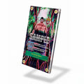 Roronoa Zoro OP06-118 SEC Wings of the Captain Extended Art Display Cases - Screws Case - Side View
