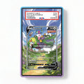 Tornadus V 185-198 SIR SAR Chilling Reign Alternate Art Extended Art Display Cases - PSA Slab Case - Front View