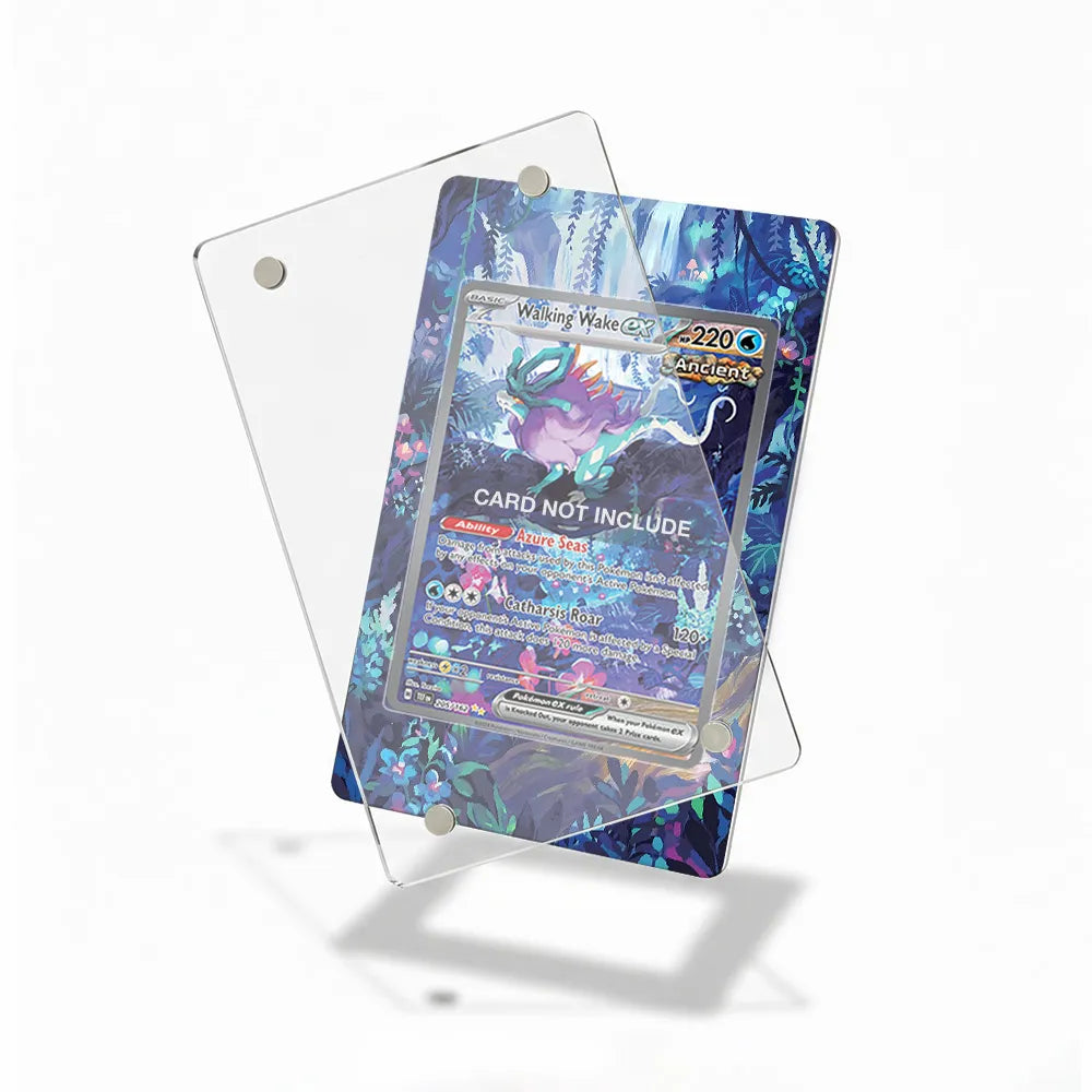 Walking Wake ex 205-162 Extended Art Display Cases - Magnetic Case - Detail View