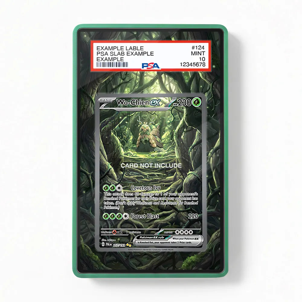 Wo-Chien ex 257-193 SIR SAR Paldea Evolved Extended Art Display Cases - PSA Slab Case - Front View