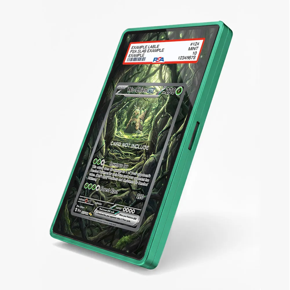 Wo-Chien ex 257-193 SIR SAR Paldea Evolved Extended Art Display Cases - PSA Slab Case - Side View