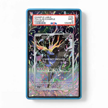 Xerneas IR AR Ninja Spinner Chaos Rising Extended Art Display Cases - PSA Graded Guard Case - Front View