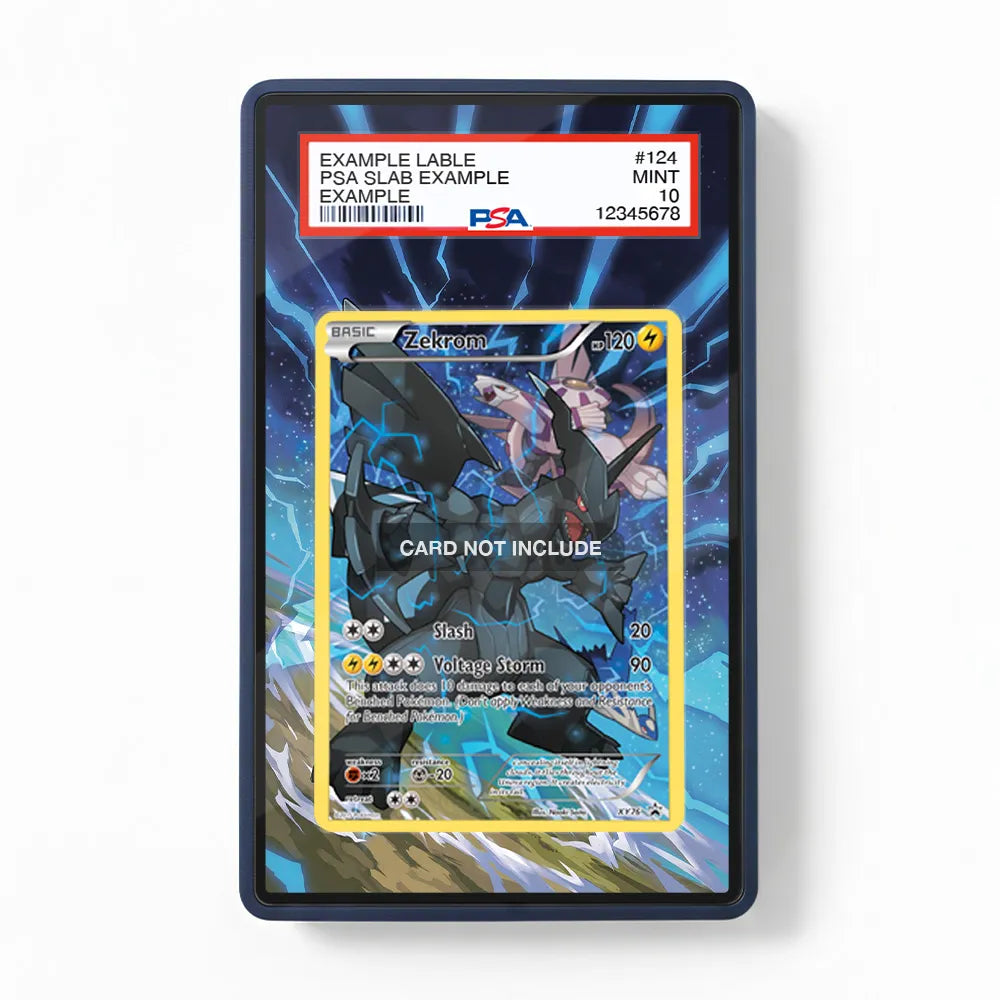 Zekrom XY76 Promo XY Series Extended Art Display Cases - PSA Slab Case - Front View